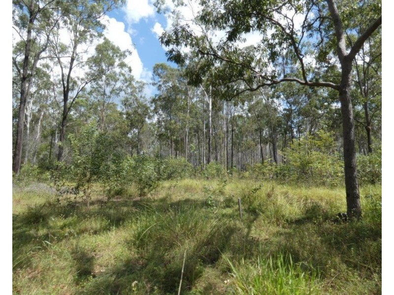 Lot 101 Mollenhagens Road, Rosedale QLD 4674