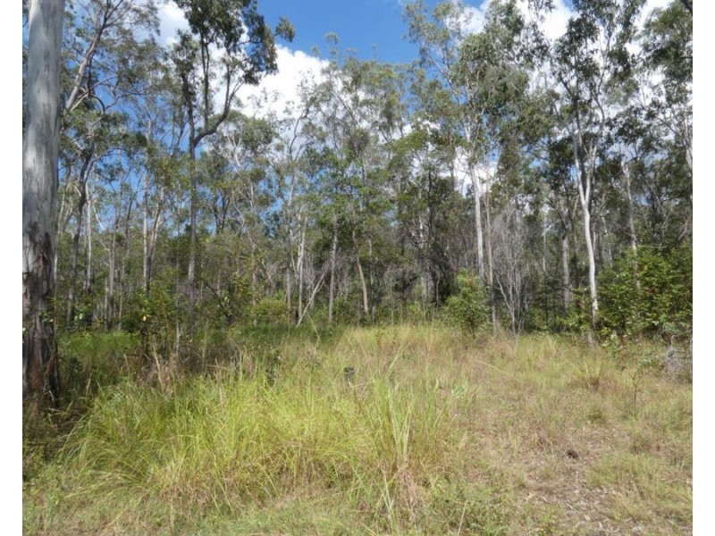 Lot 101 Mollenhagens Road, Rosedale QLD 4674