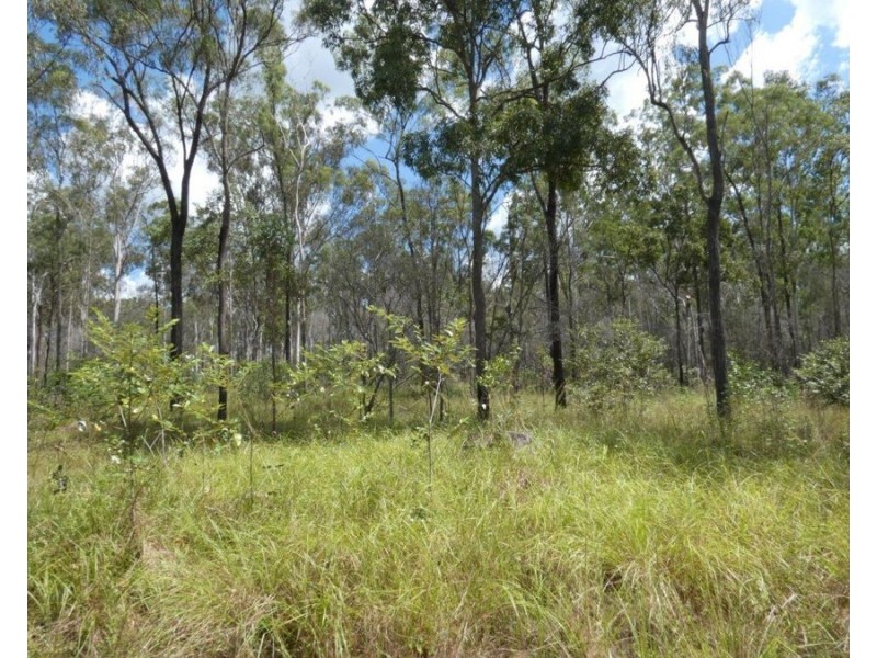 Lot 101 Mollenhagens Road, Rosedale QLD 4674