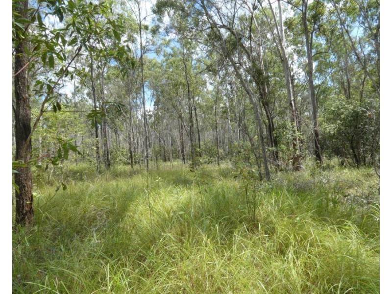 Lot 101 Mollenhagens Road, Rosedale QLD 4674