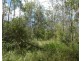 Lot 101 Mollenhagens Road, Rosedale QLD 4674