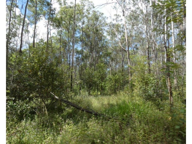 Lot 101 Mollenhagens Road, Rosedale QLD 4674