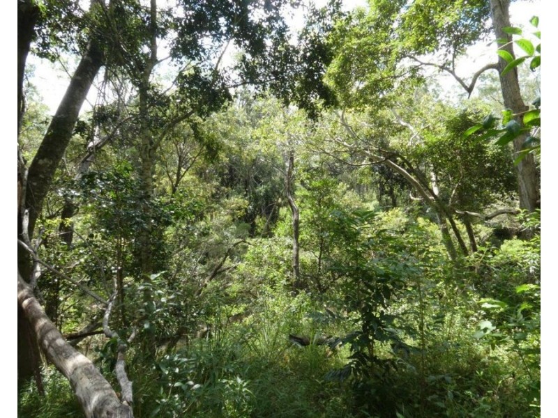 Lot 101 Mollenhagens Road, Rosedale QLD 4674