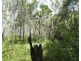 Lot 101 Mollenhagens Road, Rosedale QLD 4674