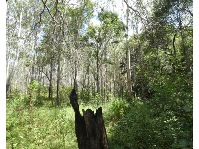 Lot 101 Mollenhagens Road, Rosedale QLD 4674