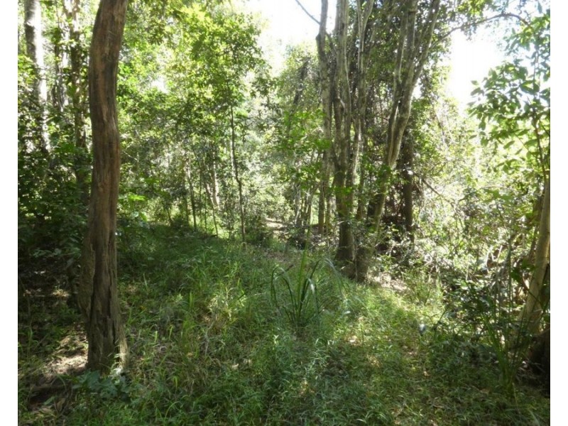 Lot 101 Mollenhagens Road, Rosedale QLD 4674