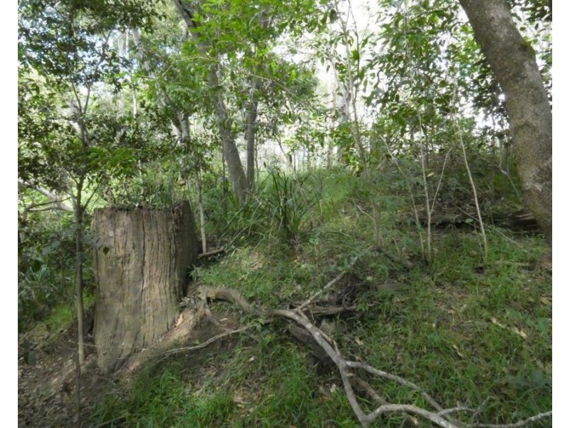 Lot 101 Mollenhagens Road, Rosedale QLD 4674