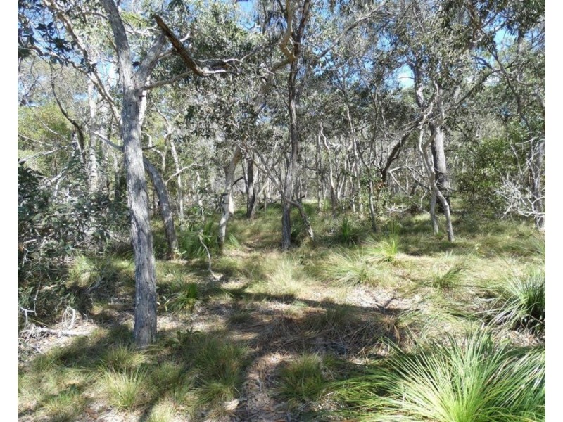 170 Dale Drive, Rules Beach QLD 4674