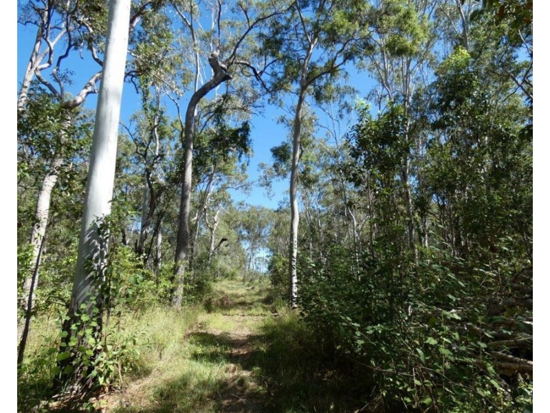 44014 Bruce Highway, Miriam Vale QLD 4677