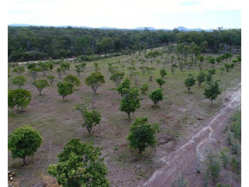 420 Matchbox Road, Deepwater QLD 4674