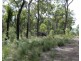 420 Matchbox Road, Deepwater QLD 4674