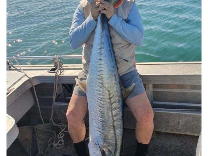 580 Clarks Drive, Foreshores QLD 4678