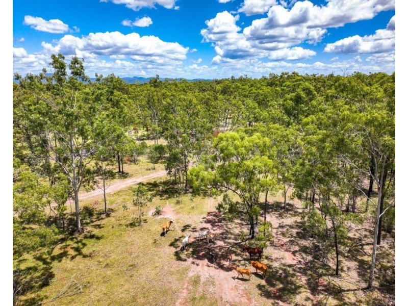 580 Clarks Drive, Foreshores QLD 4678