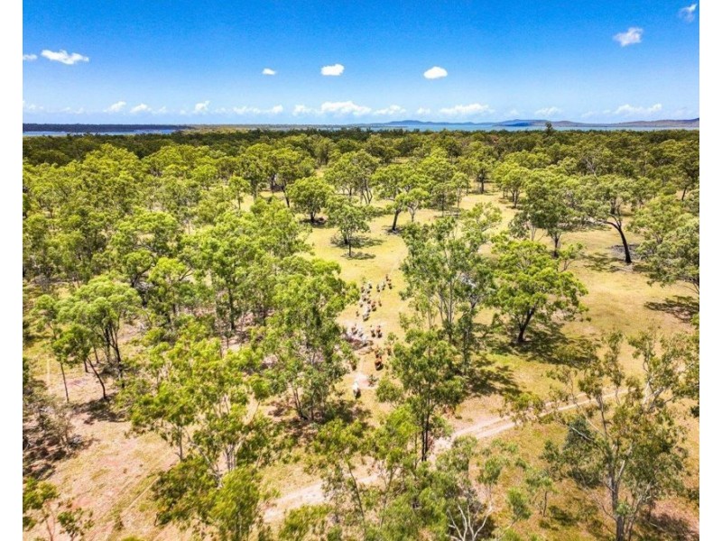 580 Clarks Drive, Foreshores QLD 4678