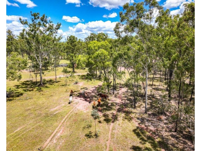 580 Clarks Drive, Foreshores QLD 4678