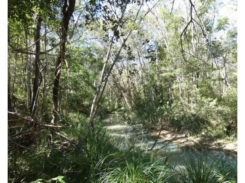 388 Mineral Road, Rosedale QLD 4674