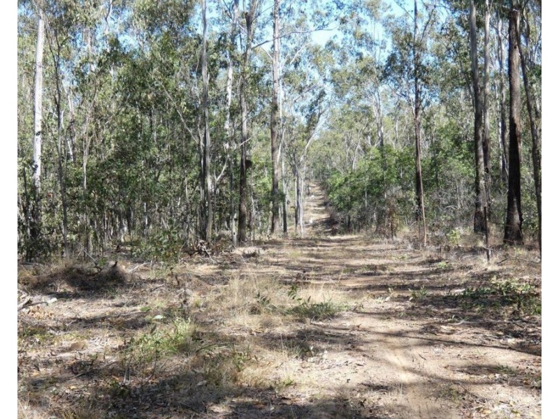 388 Mineral Road, Rosedale QLD 4674