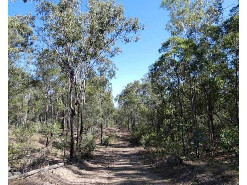 388 Mineral Road, Rosedale QLD 4674