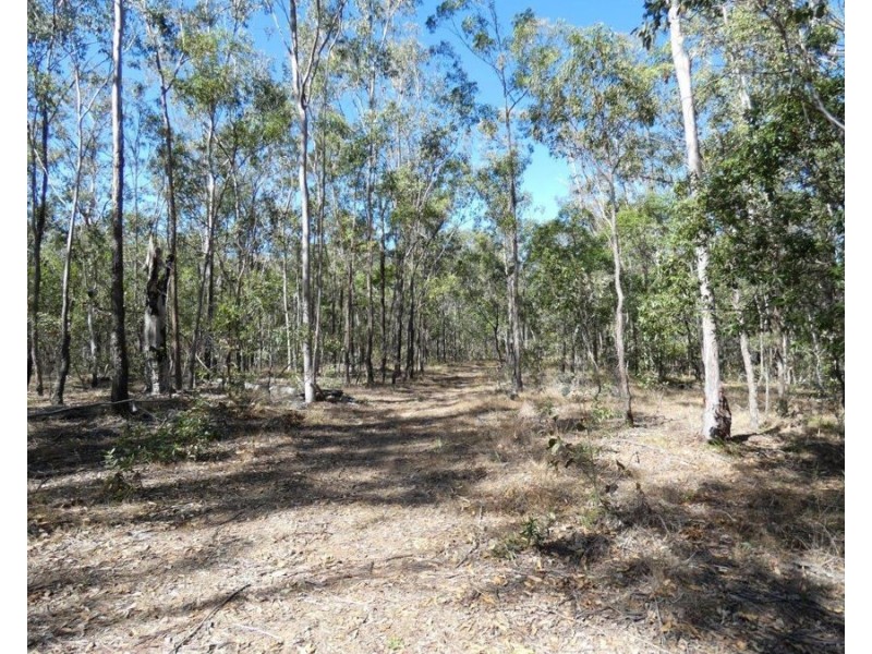 388 Mineral Road, Rosedale QLD 4674