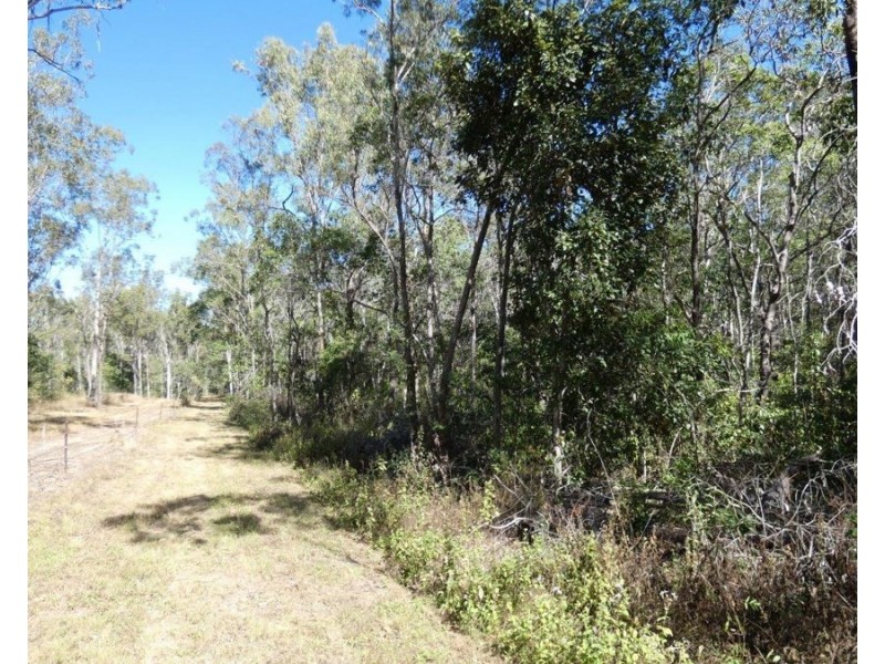 388 Mineral Road, Rosedale QLD 4674