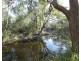 193 Maude Hill Road, Deepwater QLD 4674