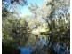 193 Maude Hill Road, Deepwater QLD 4674