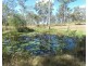 Lot 19 Websters Road, Euleilah QLD 4674