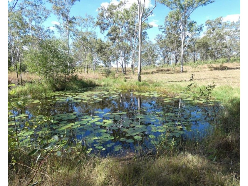 Lot 19 Websters Road, Euleilah QLD 4674