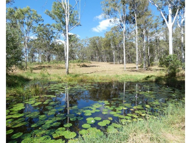 Lot 19 Websters Road, Euleilah QLD 4674