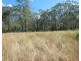 Lot 19 Websters Road, Euleilah QLD 4674