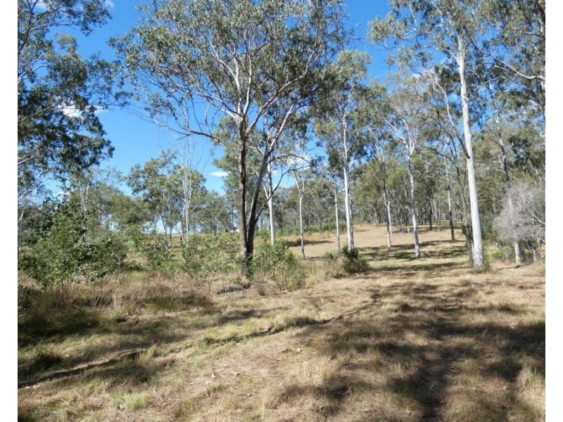 Lot 19 Websters Road, Euleilah QLD 4674