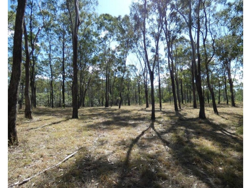 Lot 19 Websters Road, Euleilah QLD 4674