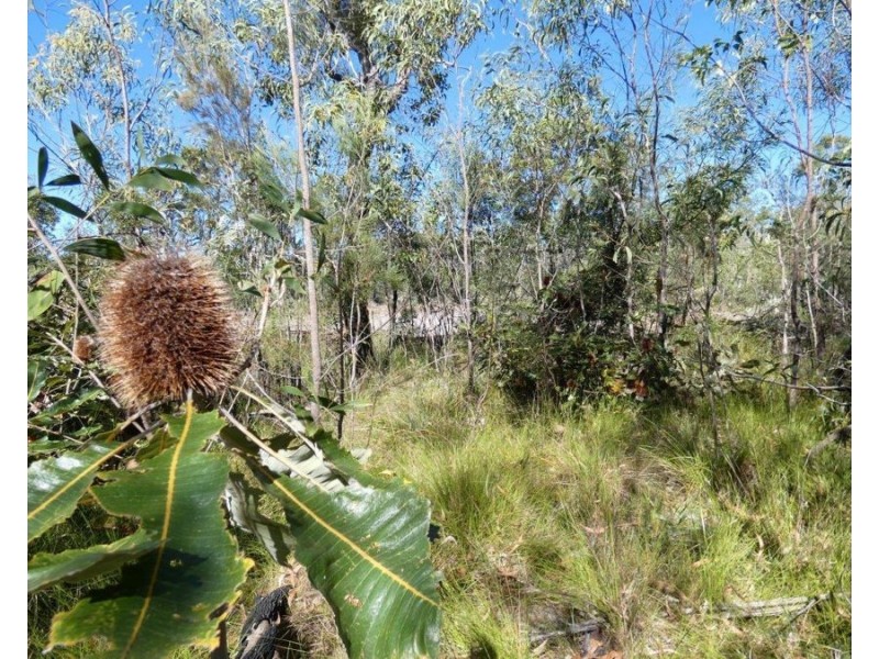 Lot 86 Pacific Drive, Deepwater QLD 4674