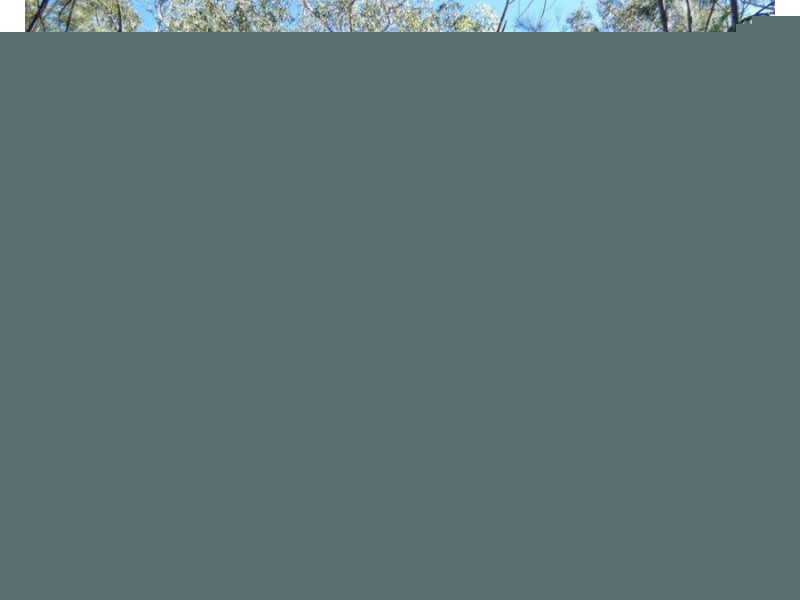Lot 86 Pacific Drive, Deepwater QLD 4674
