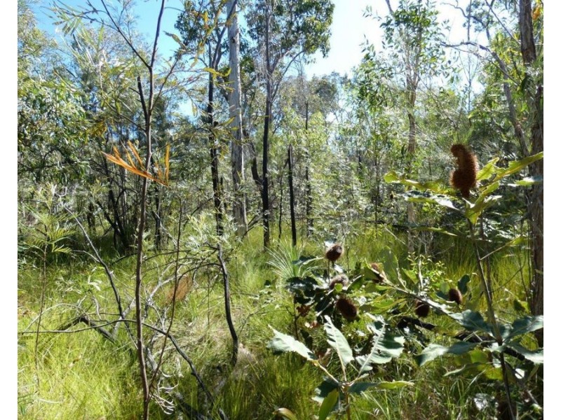 Lot 86 Pacific Drive, Deepwater QLD 4674