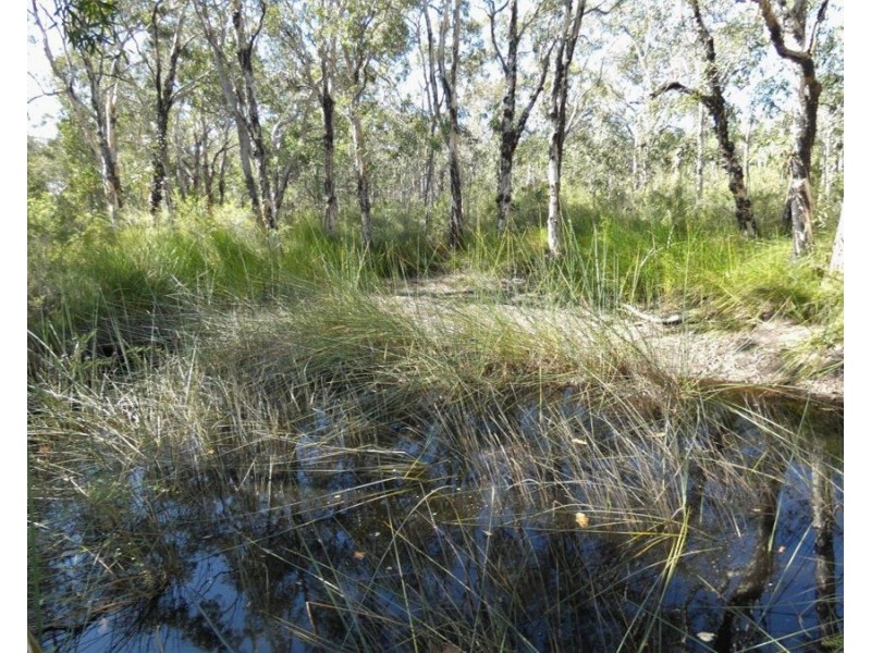 Lot 11 Fernfield Road, Deepwater QLD 4674