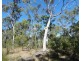 Lot 11 Fernfield Road, Deepwater QLD 4674