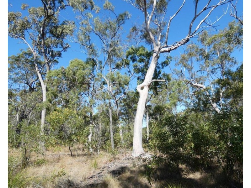 Lot 11 Fernfield Road, Deepwater QLD 4674