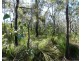 Lot 11 Fernfield Road, Deepwater QLD 4674