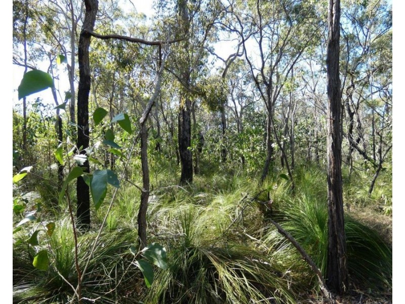 Lot 11 Fernfield Road, Deepwater QLD 4674
