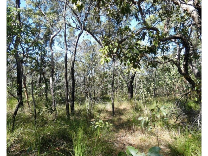 Lot 11 Fernfield Road, Deepwater QLD 4674