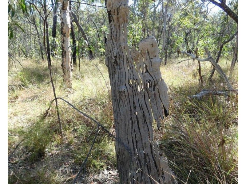 Lot 11 Fernfield Road, Deepwater QLD 4674