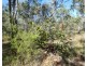 Lot 11 Fernfield Road, Deepwater QLD 4674