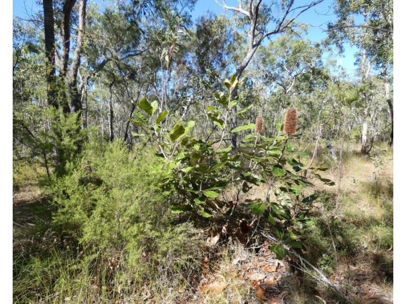 Lot 11 Fernfield Road, Deepwater QLD 4674