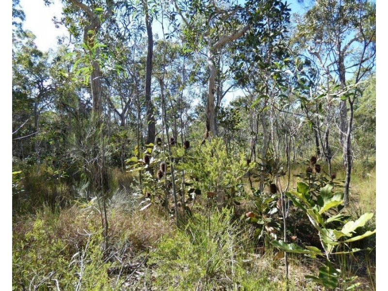 Lot 11 Fernfield Road, Deepwater QLD 4674