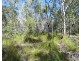 Lot 11 Fernfield Road, Deepwater QLD 4674