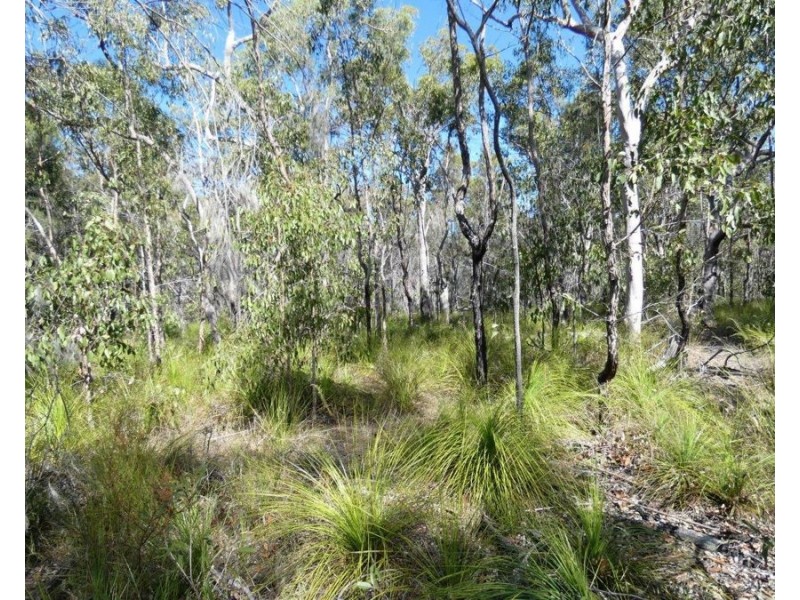 Lot 11 Fernfield Road, Deepwater QLD 4674