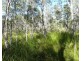Lot 11 Fernfield Road, Deepwater QLD 4674