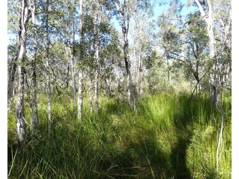 Lot 11 Fernfield Road, Deepwater QLD 4674