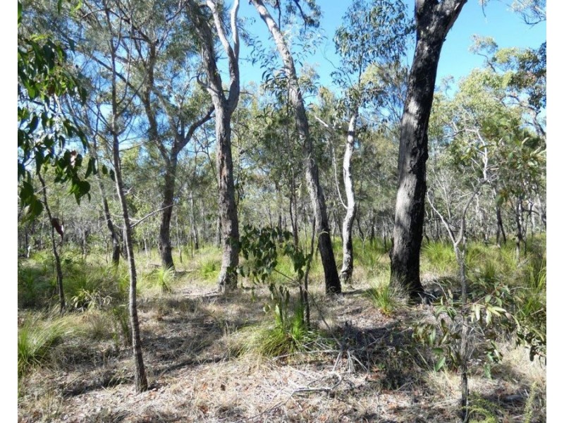 Lot 11 Fernfield Road, Deepwater QLD 4674